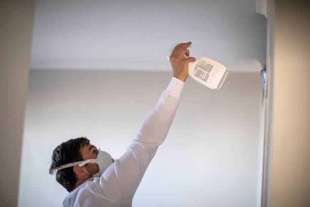 Best Mold Removal Company Near Me  in Moreland Hills, OH