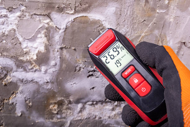 Best Mold Testing  in Moreland Hills, OH